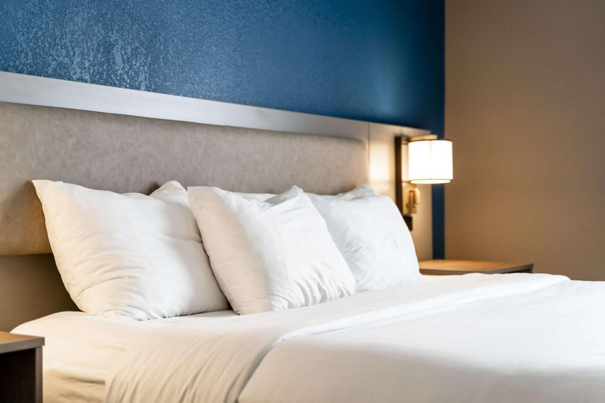 Comfort Suites Columbia Northeast - Fort Jackson Dış mekan fotoğraf